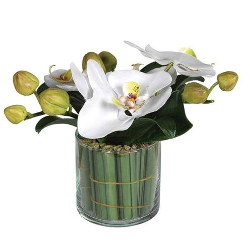Small Orchid in Greenery