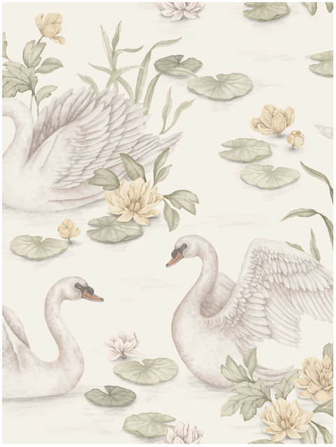 Little Swan Wallpaper